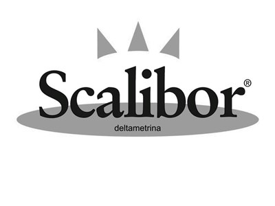 spot SCALIBOR